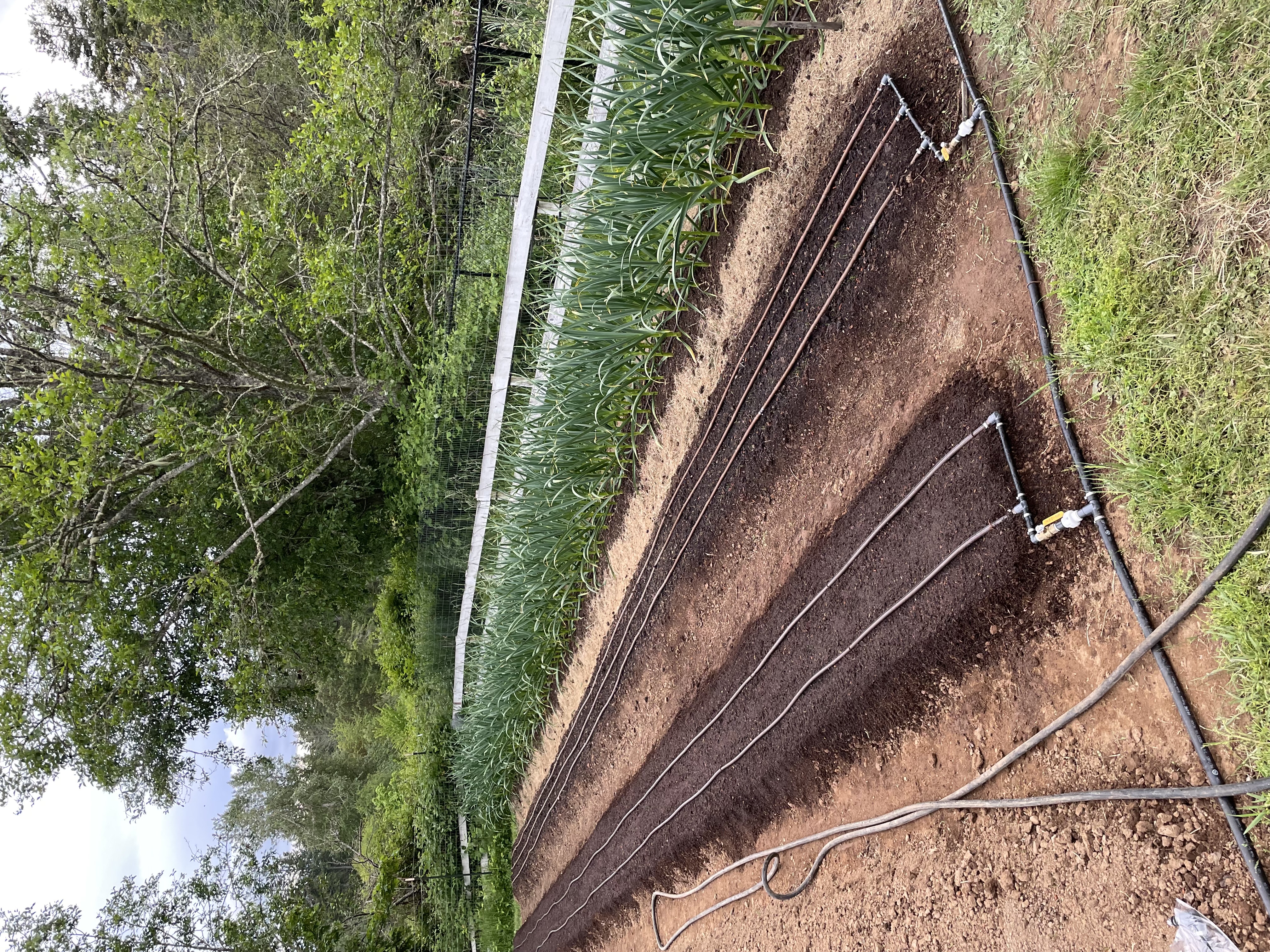 Biointensive Methods meet Regenerative Principles