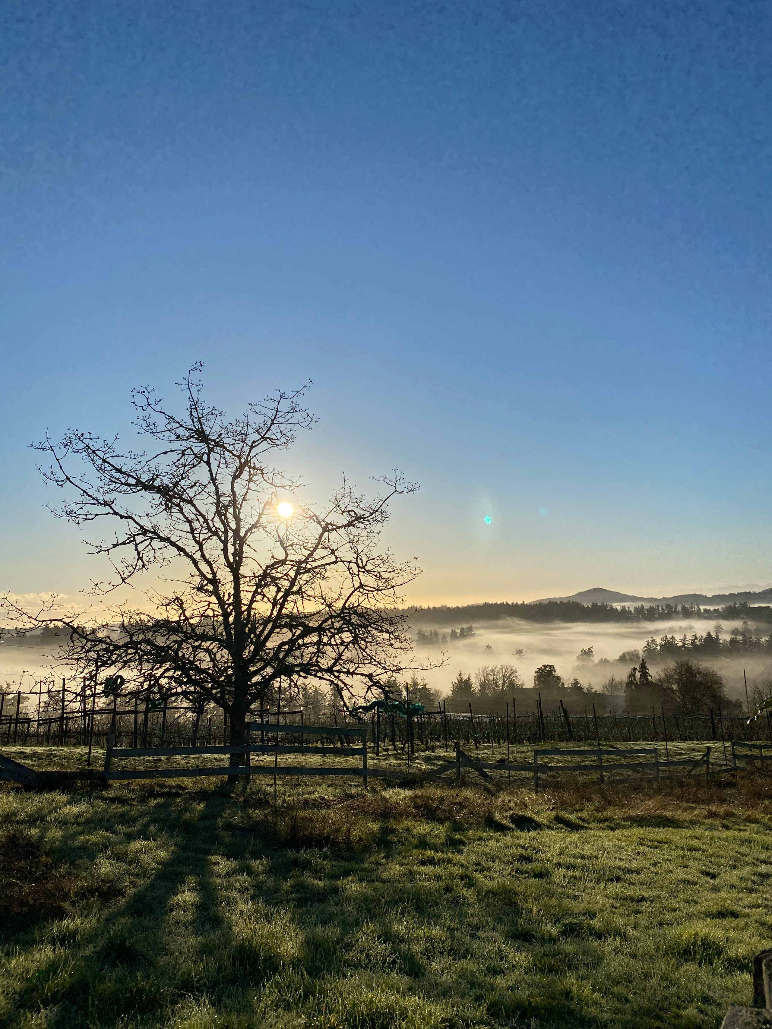A beautiful view of the fog-filled Newton Valley on an early spring morning.