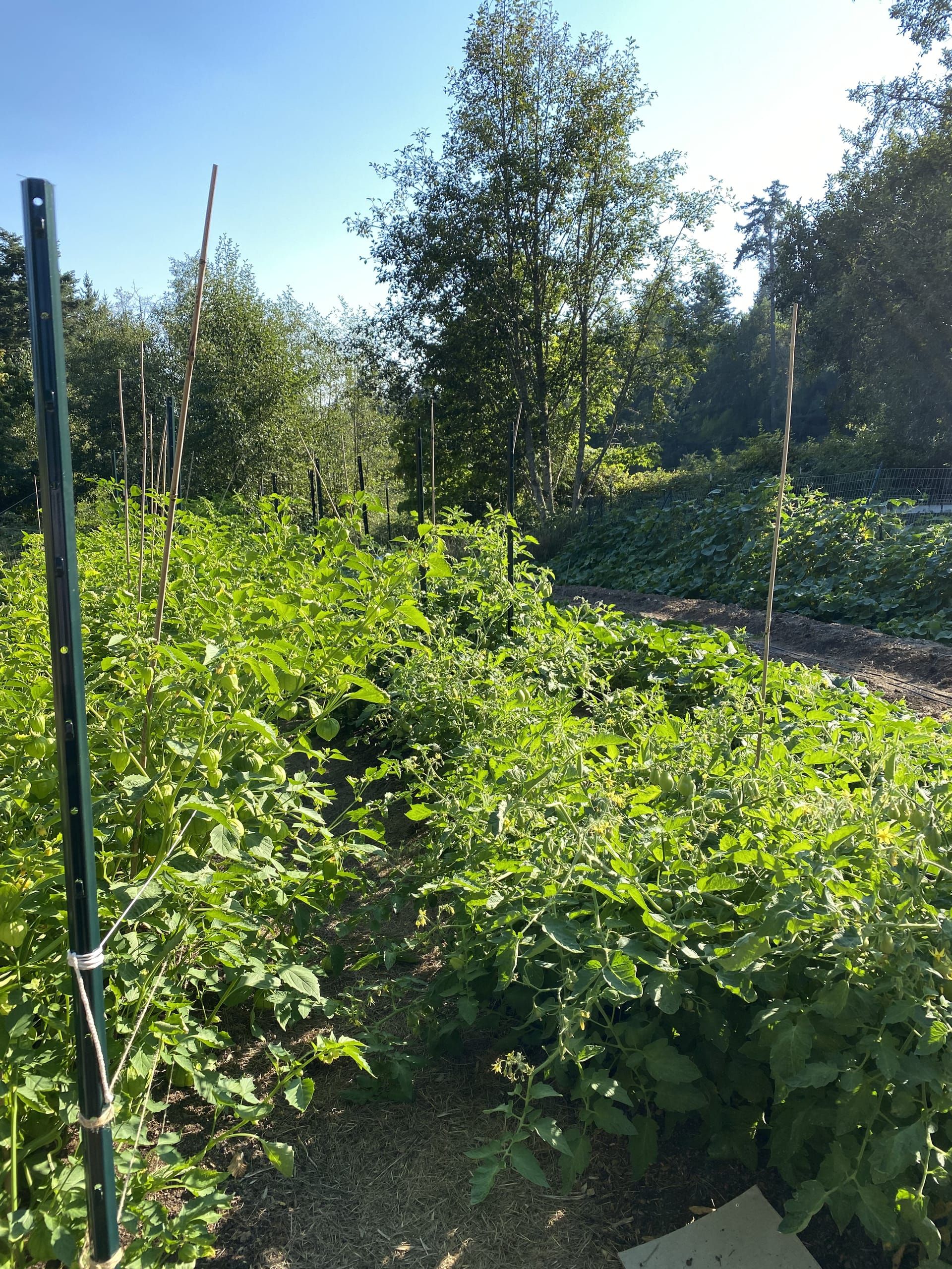 Putting the Garden to Bed for the Winter