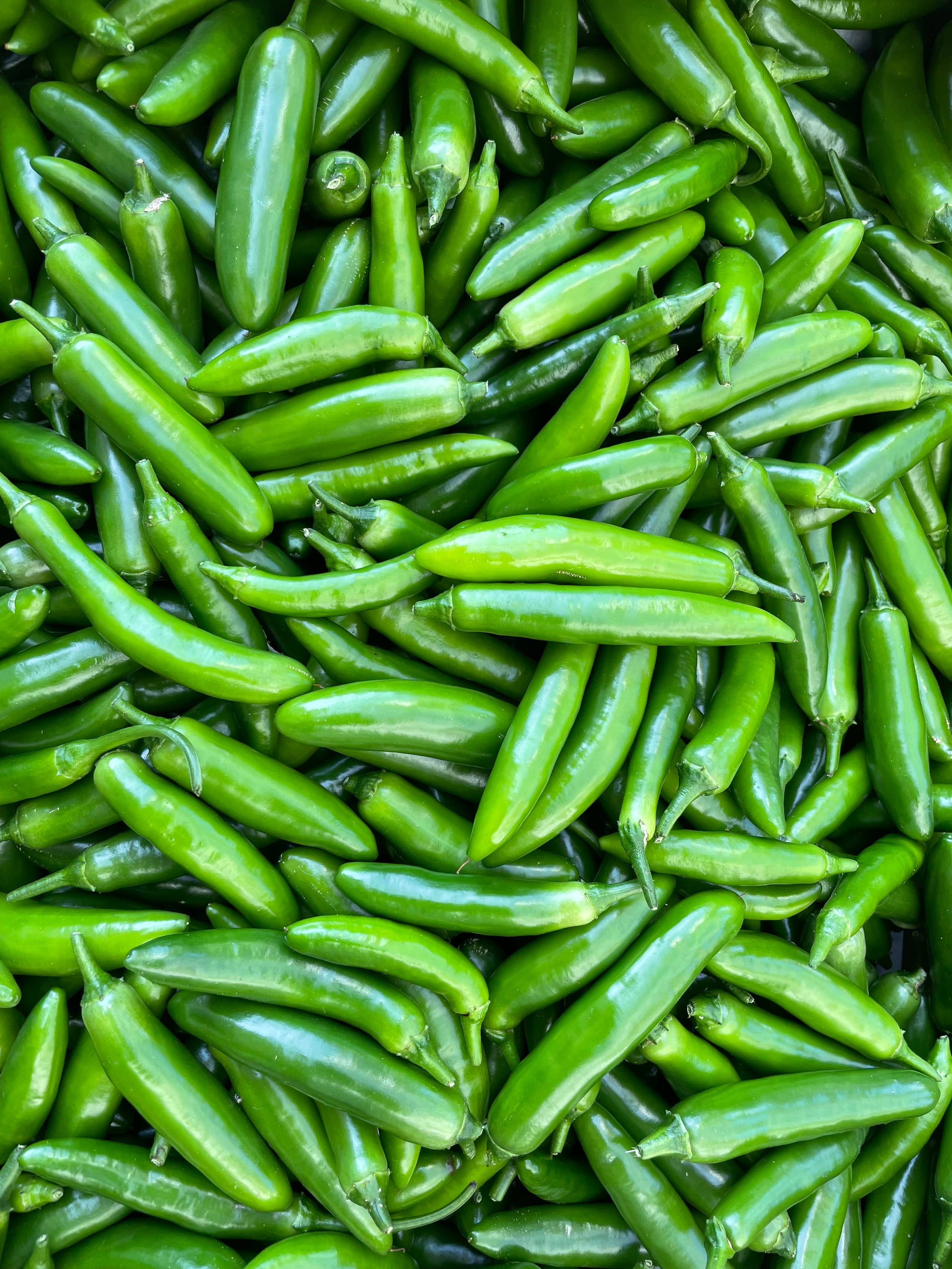 A close-up of dozens of freshly picked, glossy green serrano peppers piled together at Valley View Farm in Saanichton, BC.