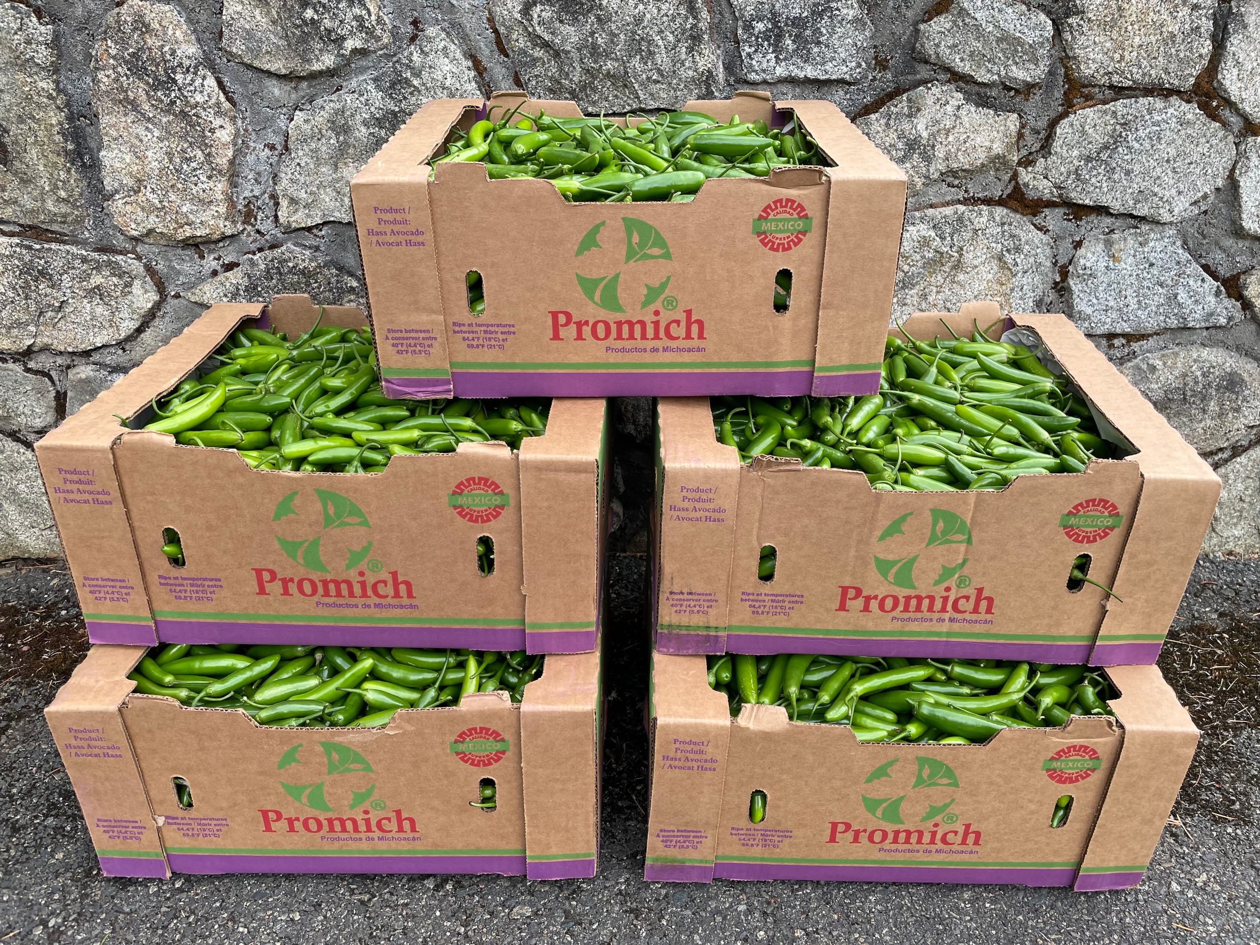 Five cardboard produce boxes of fresh green serrano peppers stacked in a pyramid in front of a stone wall, packed and ready for delivery from Valley View Farm.