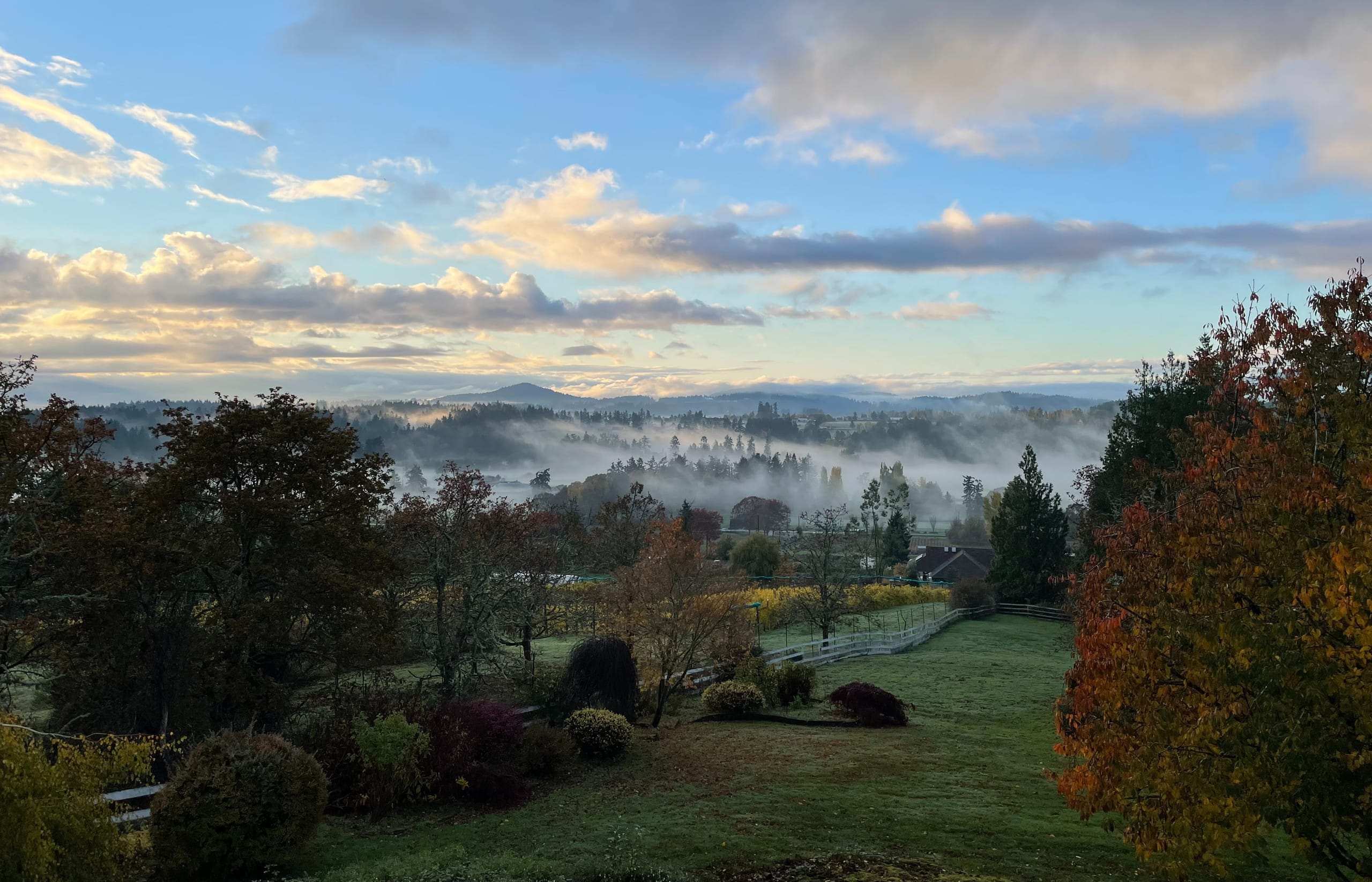 Looking over the fog-filled Newton Valley from Valley View Farm at sunrise on a colourful autumn morning